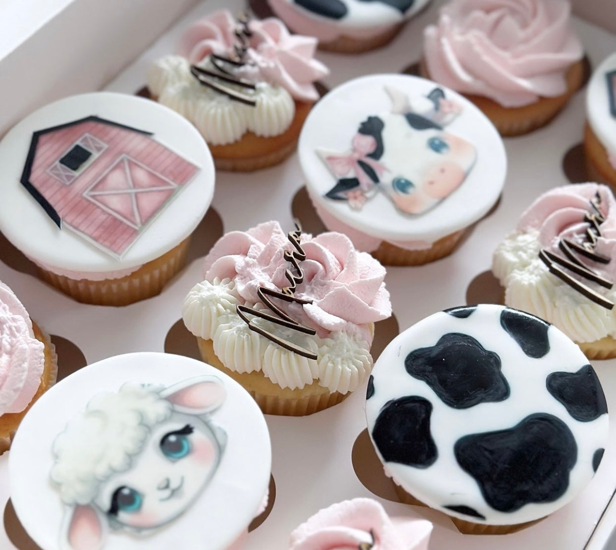 Minis Toppers Cupcakes Bois lot de 10