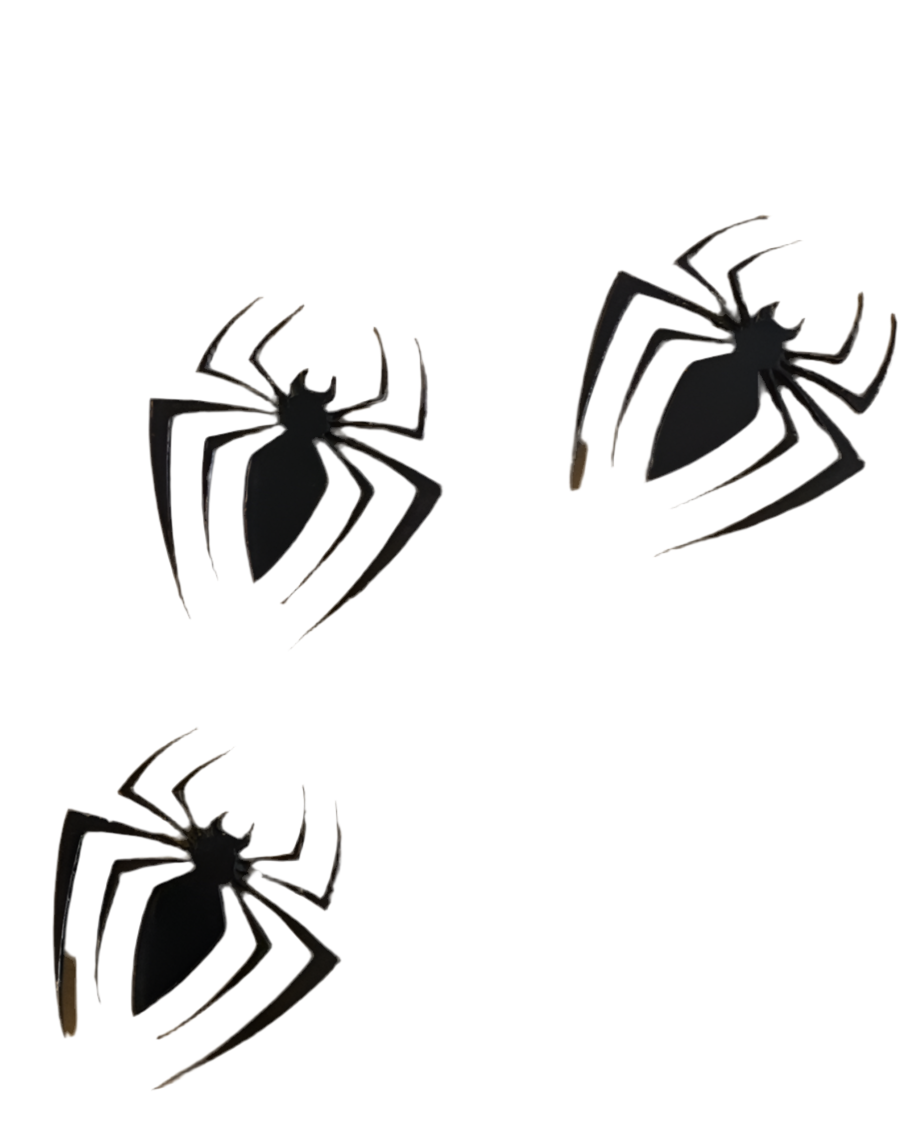 Lot 10 araignées