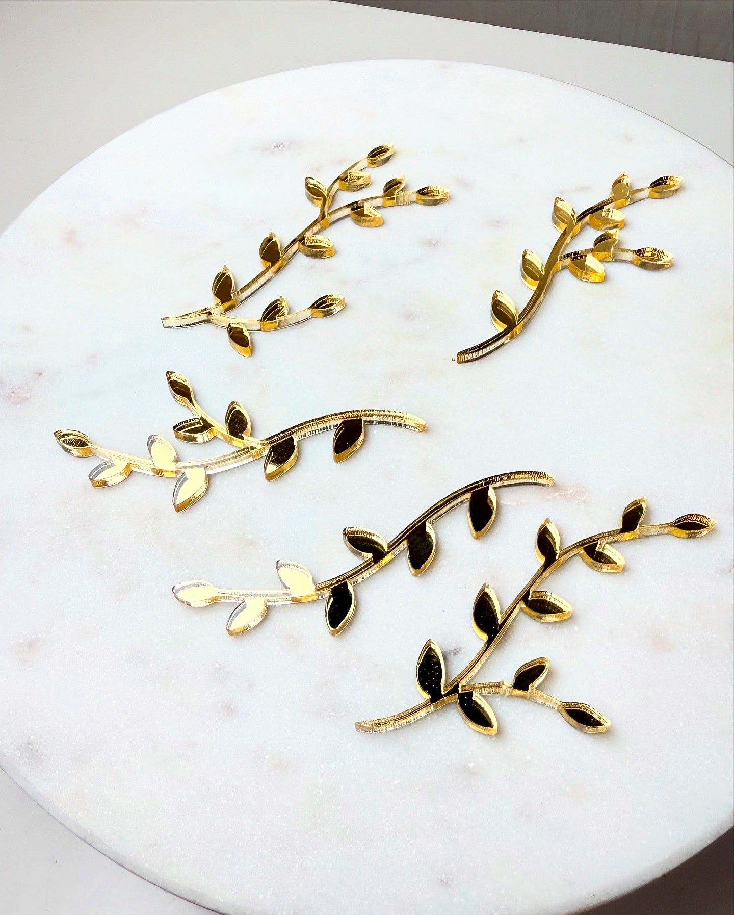 Lot 5 Branches - Plexiglass 3mm