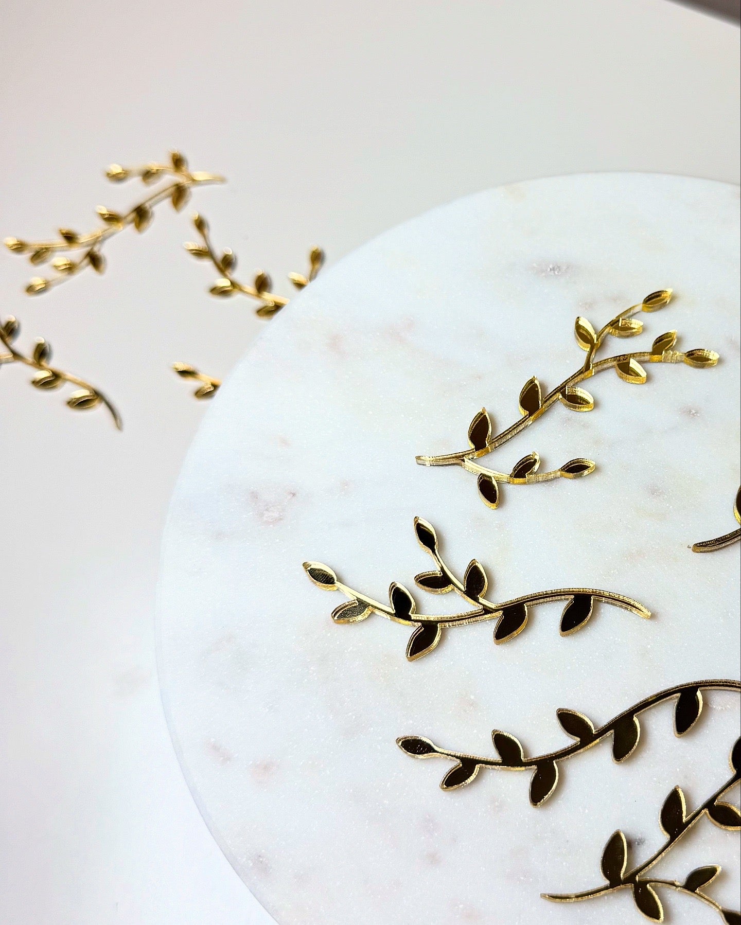 Lot 5 Branches - Plexiglass 3mm