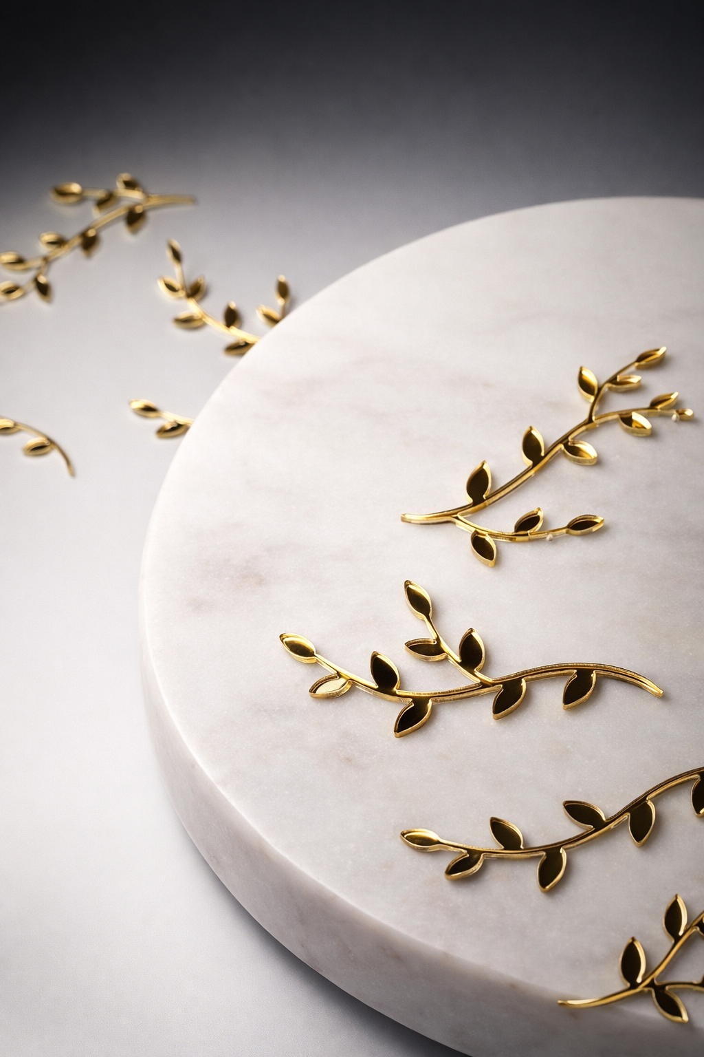 Lot 5 Branches - Plexiglass 3mm