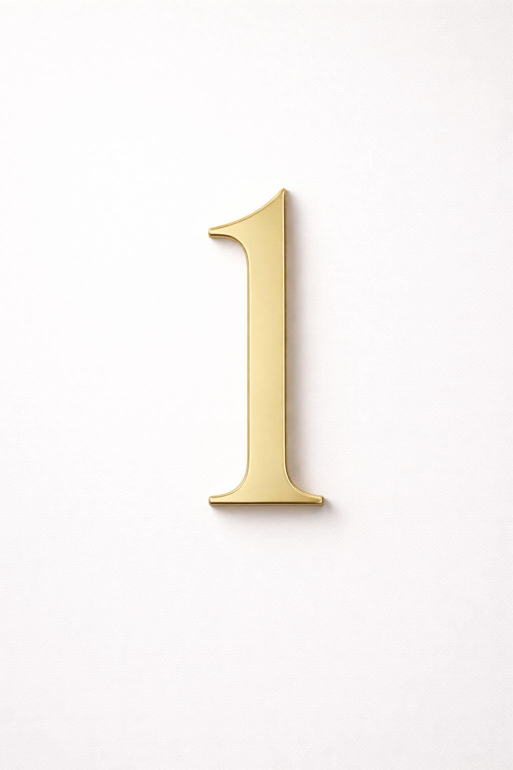 Face Topper - ONE NUMBER, if several add multiple items