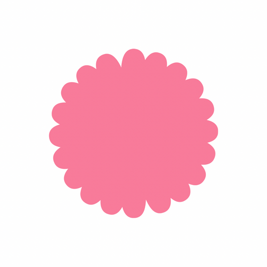 Disques Ganache Fleur x2